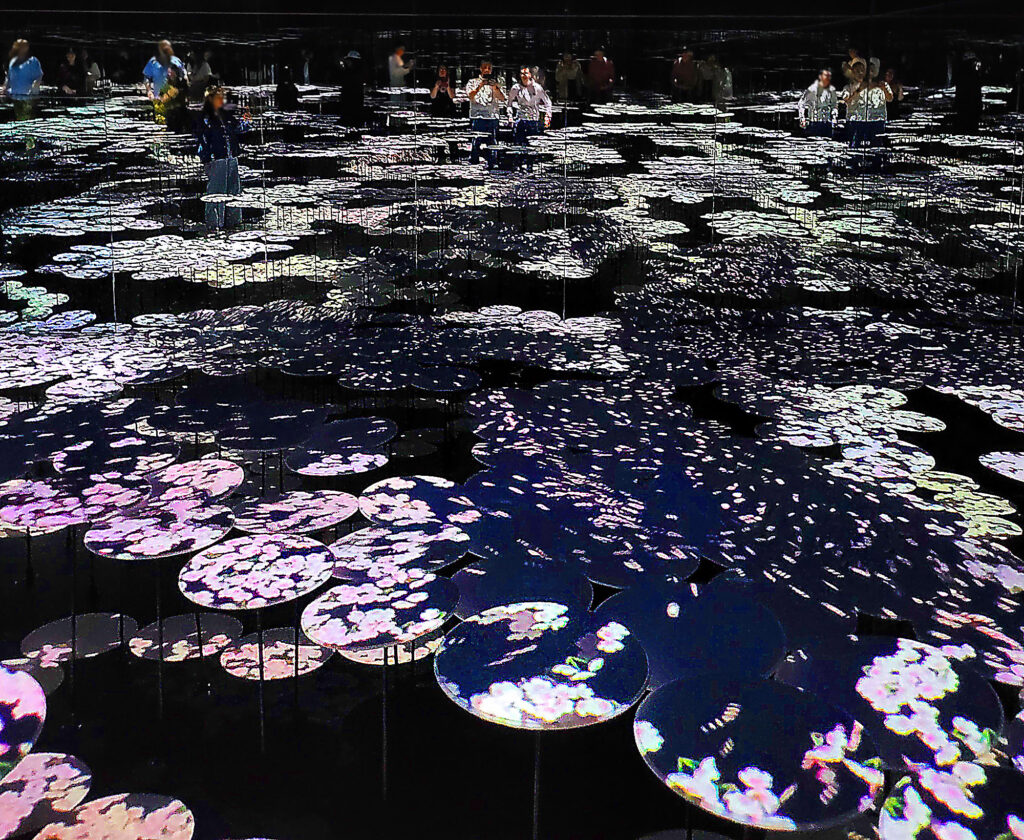 Teamlab Borderless - Memory of Topography - ninfee