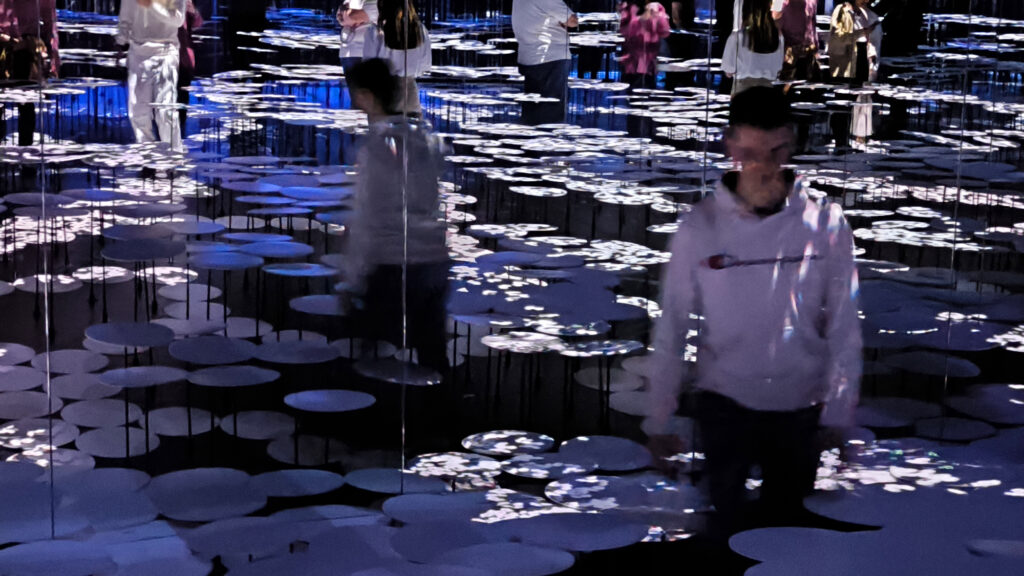 Teamlab Borderless - Memory of Topography - ninfee