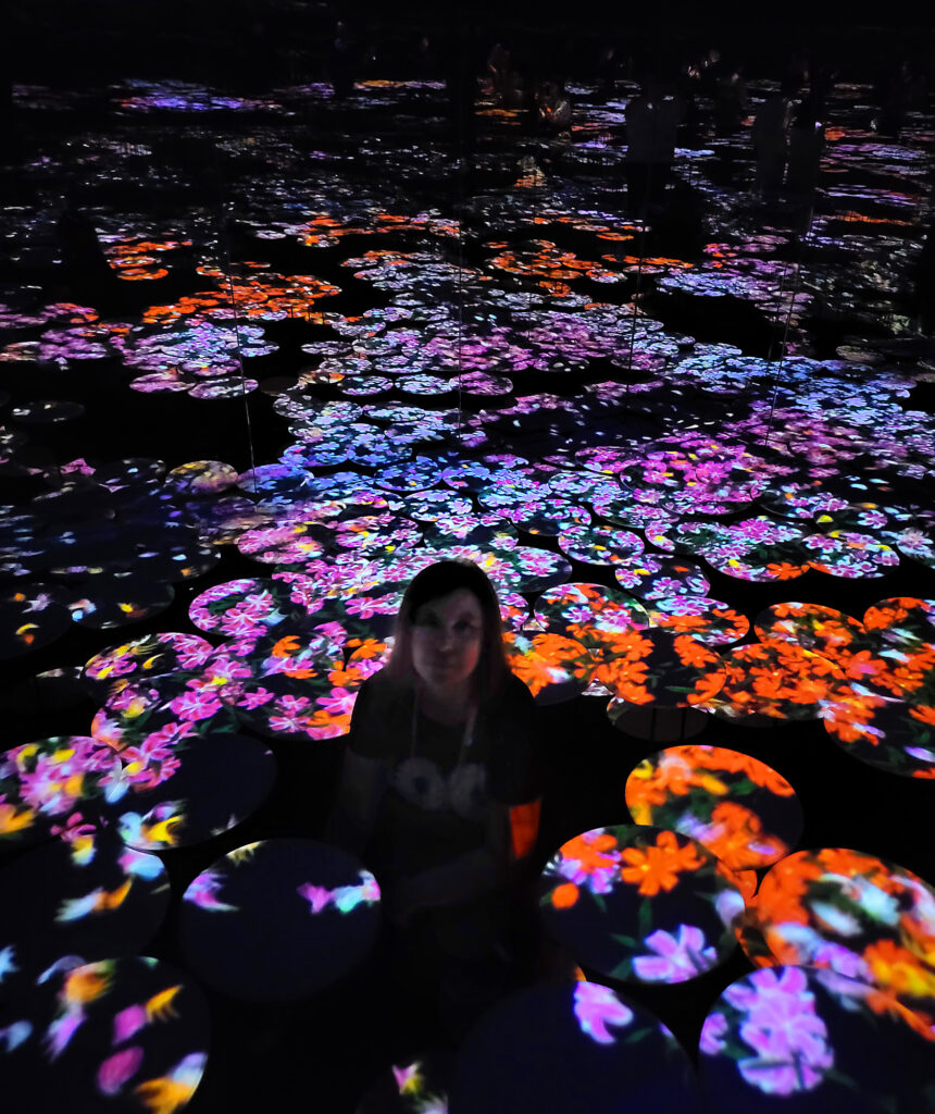 Teamlab Borderless - Memory of Topography - ninfee