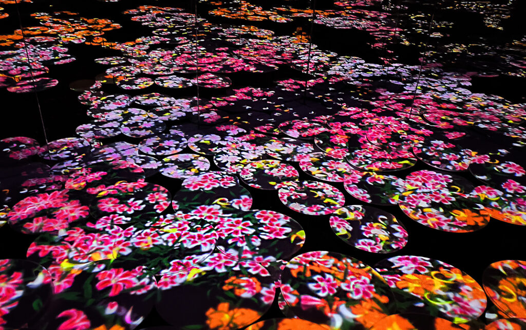 Teamlab Borderless - Memory of Topography - ninfee