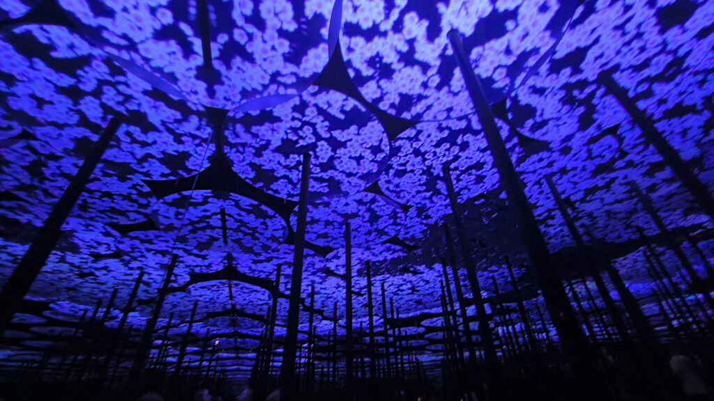 Teamlab Borderless - Memory of Topography - ninfee