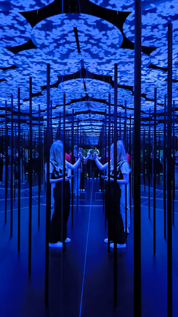 Teamlab Borderless - Memory of Topography - ninfee