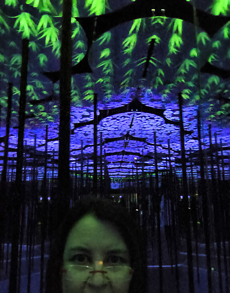 Teamlab Borderless - Memory of Topography - ninfee