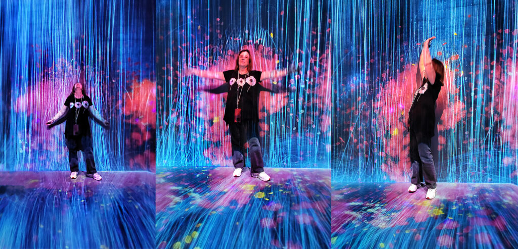 Teamlab Borderless - cascata