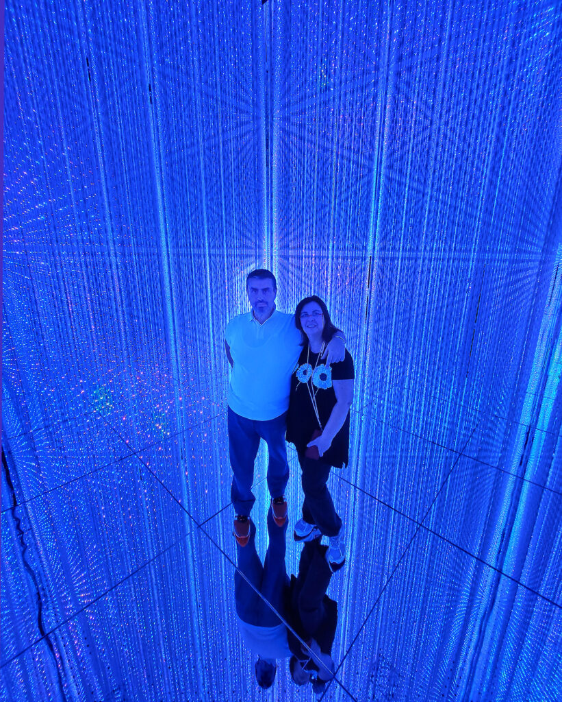 Teamlab Borderless - Crystal World led