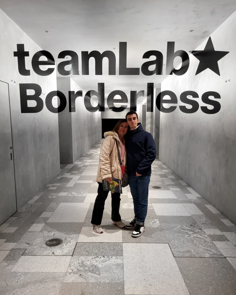 Teamlab Borderless - ingresso