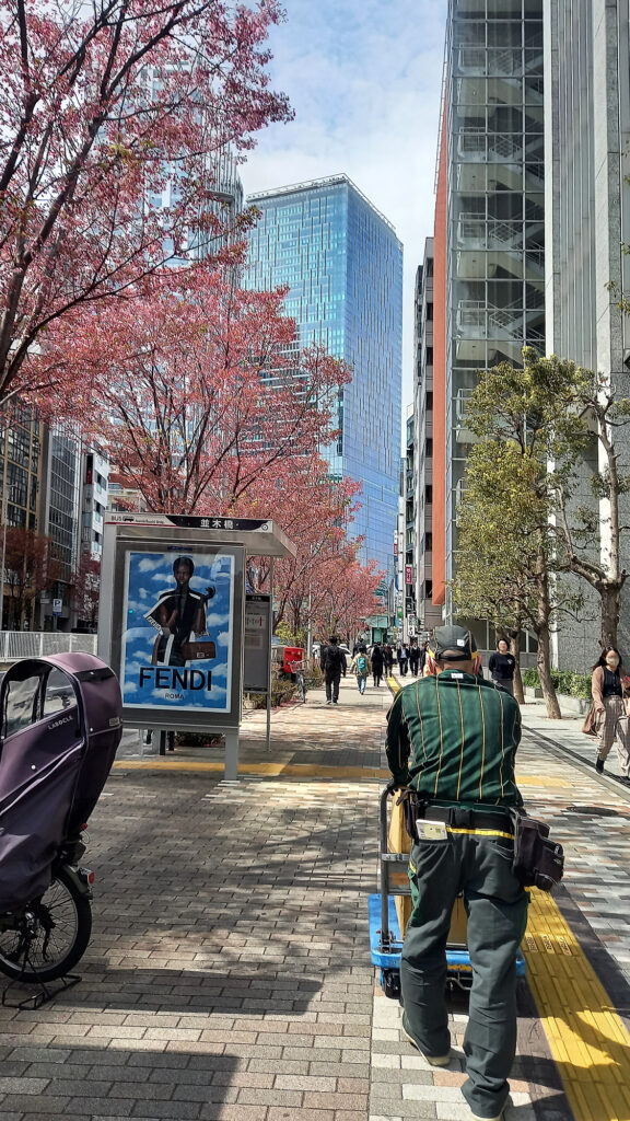 Shibuya Meiji dori ave