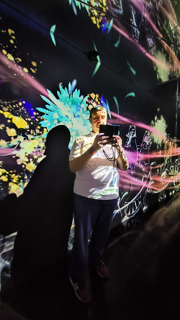 Teamlab Borderless - flowers room