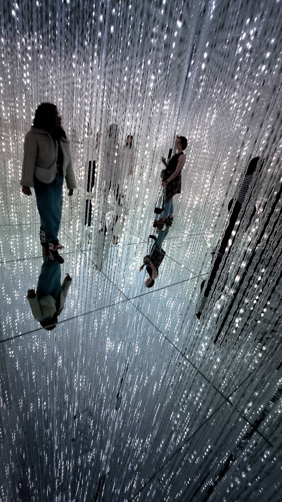 Teamlab Borderless - Crystal World led
