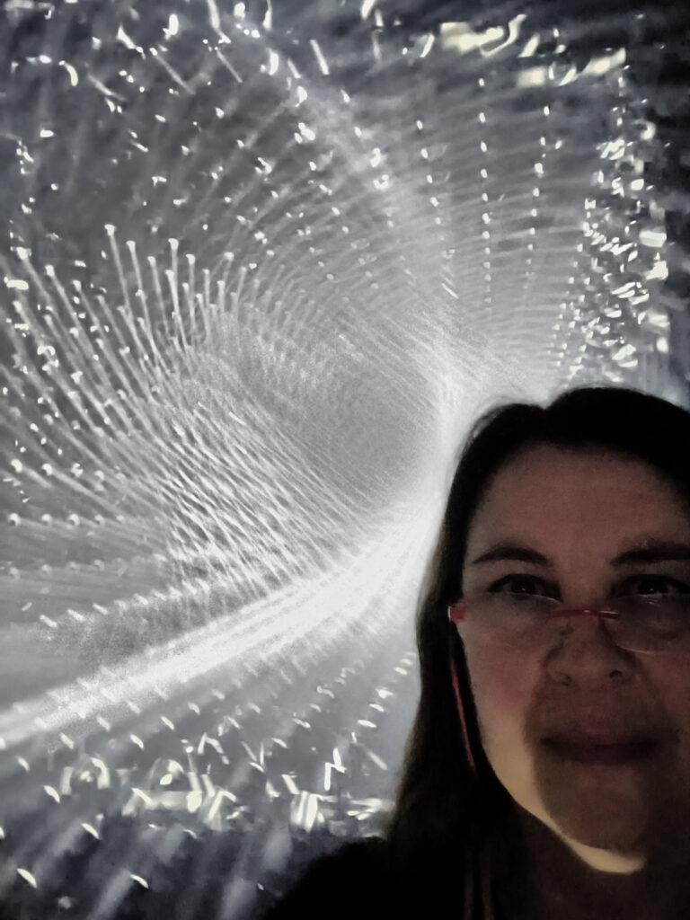 TeamLab Borderless - Light Sculpture