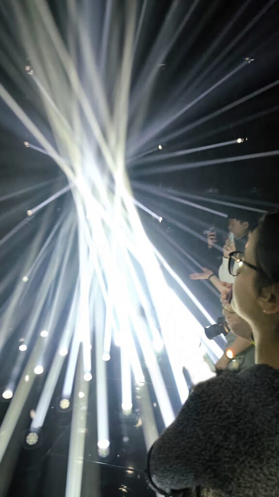 TeamLab Borderless - Light Sculpture