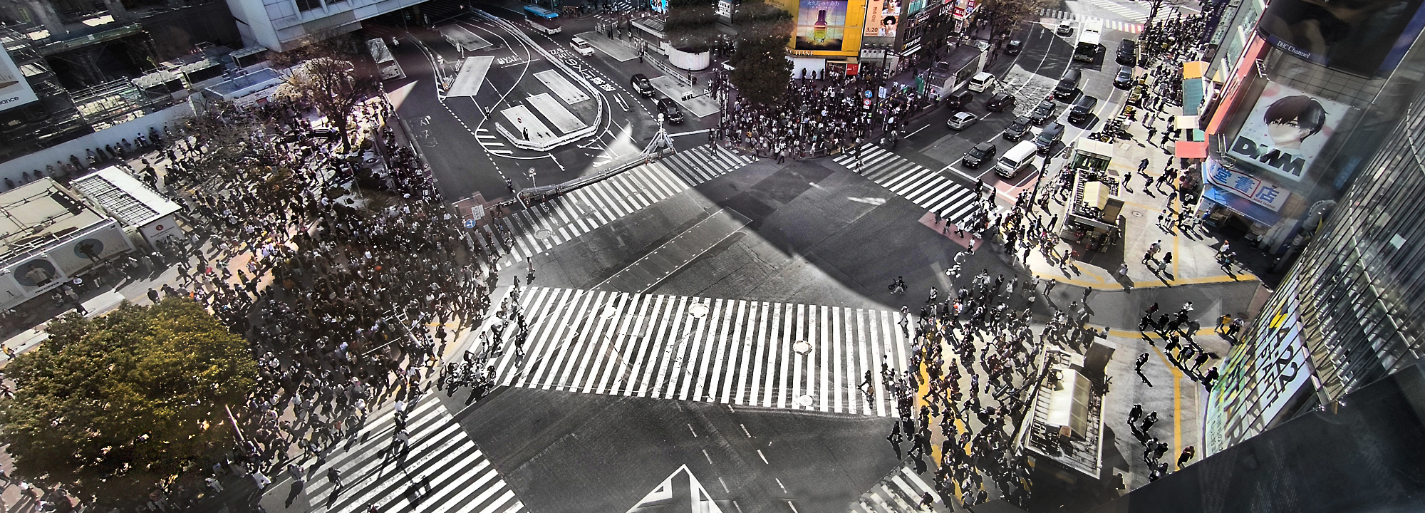 Read more about the article Shibuya Crossing