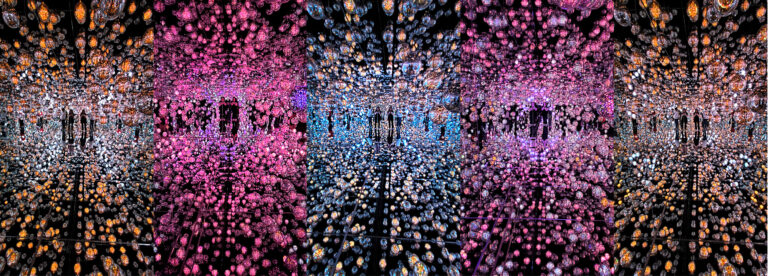 Read more about the article TeamLab Borderless – Bubble Universe
