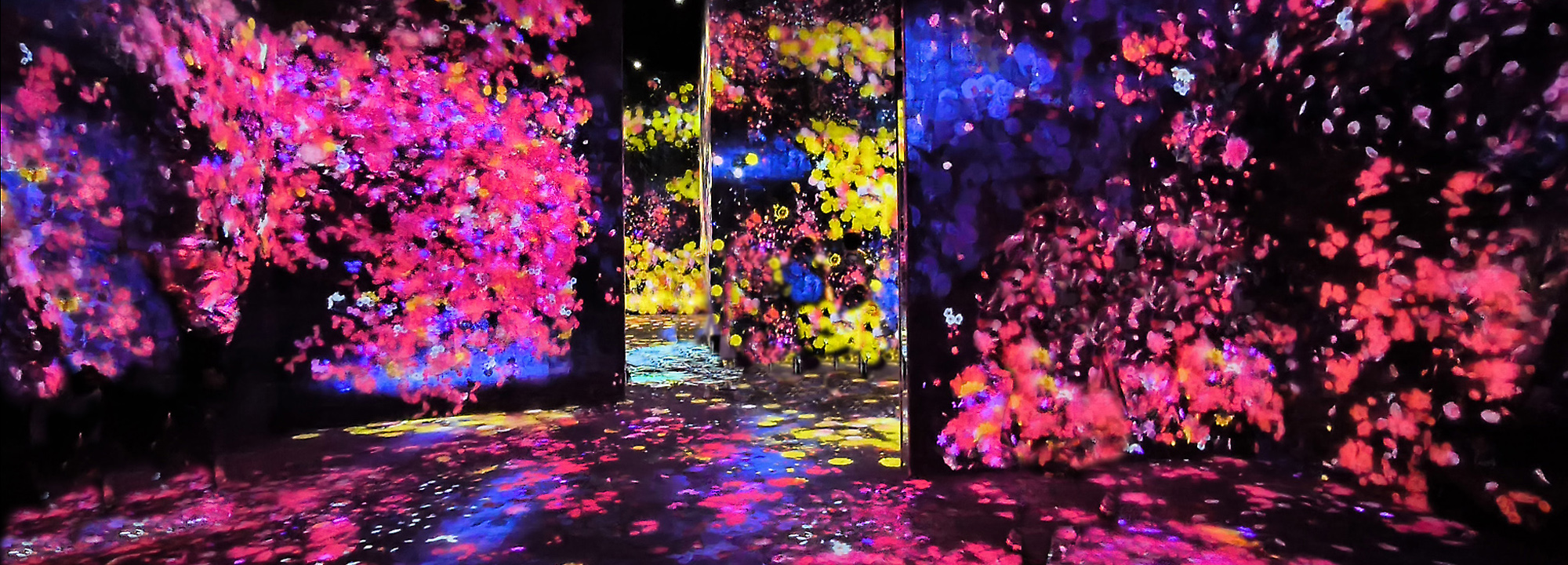 Read more about the article TeamLab Borderless – Flowers and People
