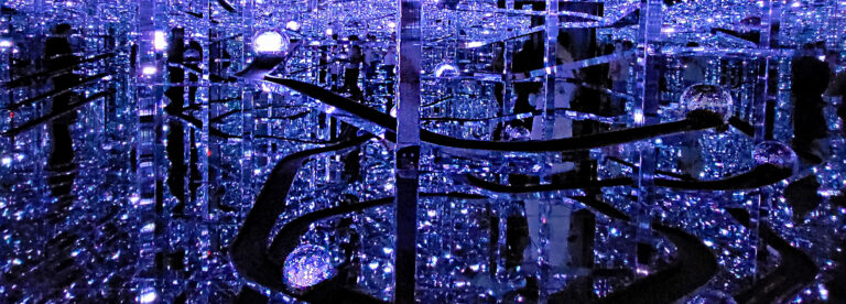 Read more about the article TeamLab Borderless – Microcosmoses