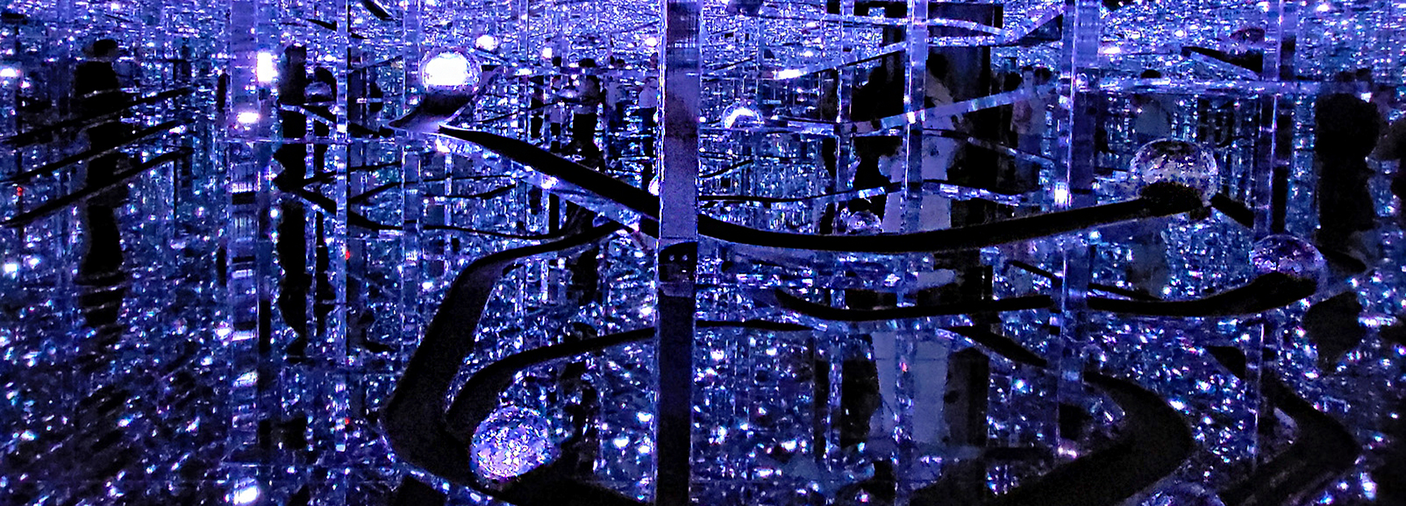 Read more about the article TeamLab Borderless – Microcosmoses