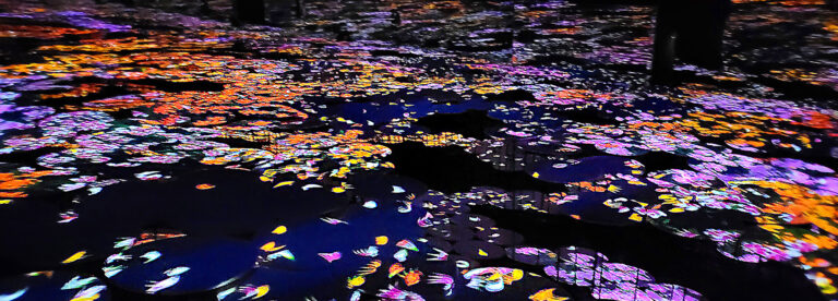 Read more about the article TeamLab Borderless – Memory of Topography
