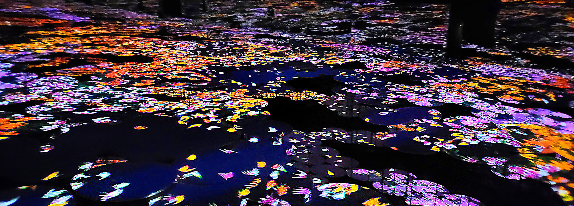 Read more about the article TeamLab Borderless – Memory of Topography