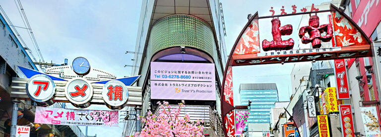 Read more about the article Mercato Ameyoko