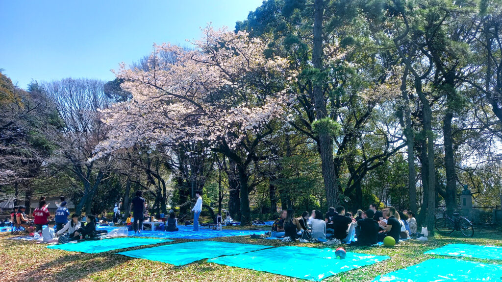 3_Tokyo Shibuya Harajuku Parco Yoyogi - hanami