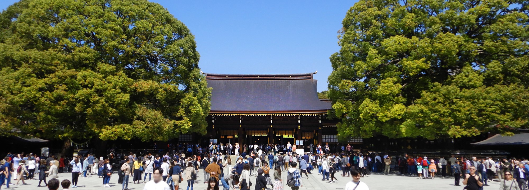 Read more about the article Santuario Meiji Jingu
