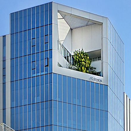 4-Tokyo Akihabara particolare albero nel palazzo