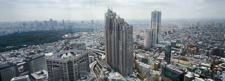 Read more about the article Palazzo del governo metropolitano