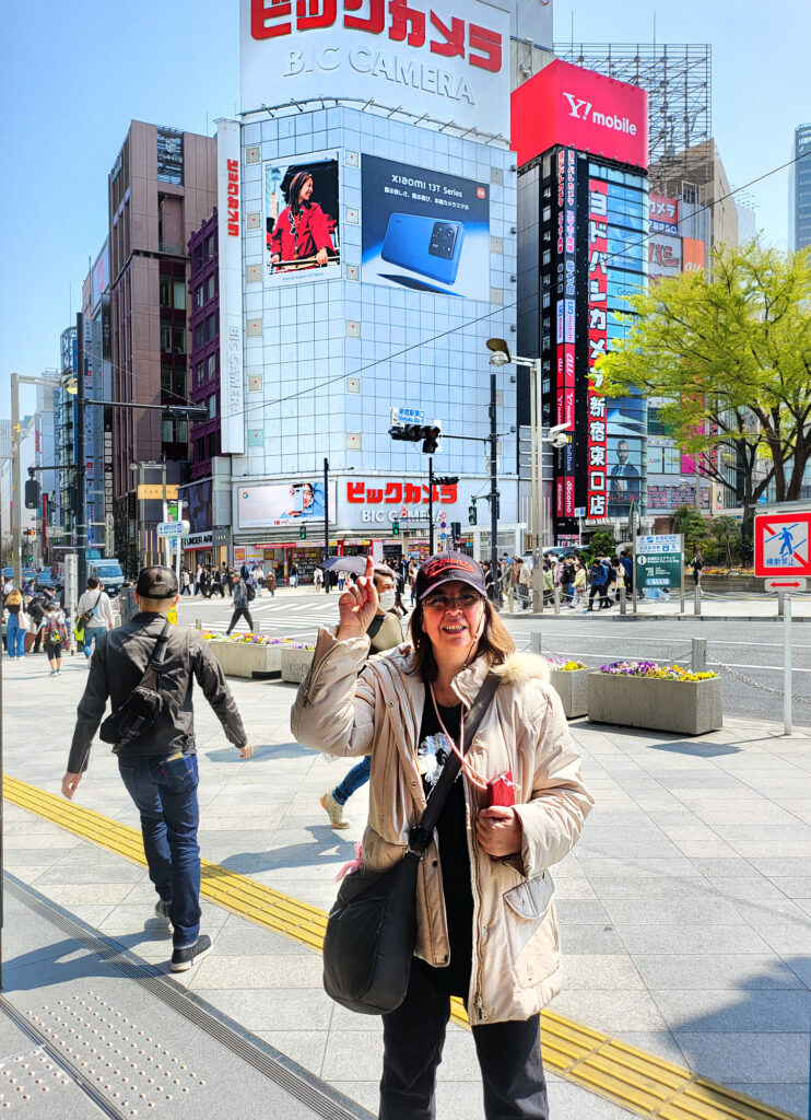 5_Tokyo Shinjuku - Bic Camera