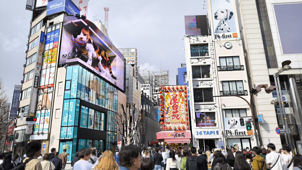 6_Tokyo Shinjuku - gatto 3d Giant 3D Cat