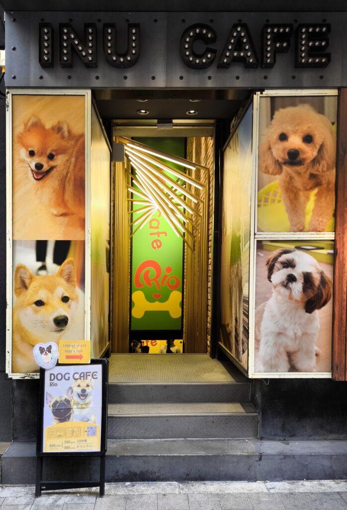 5_Tokyo Shinjuku - dog cafe