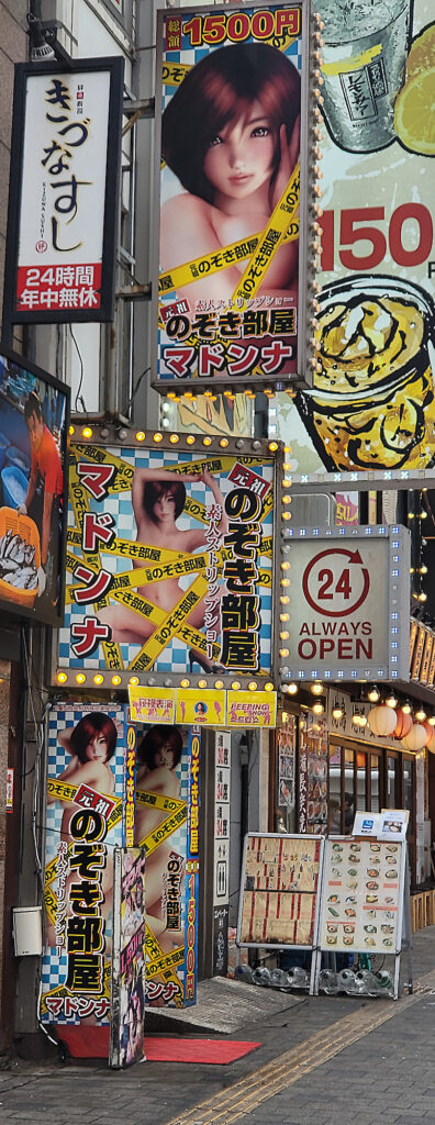 5_Tokyo Shinjuku - Kabukicho