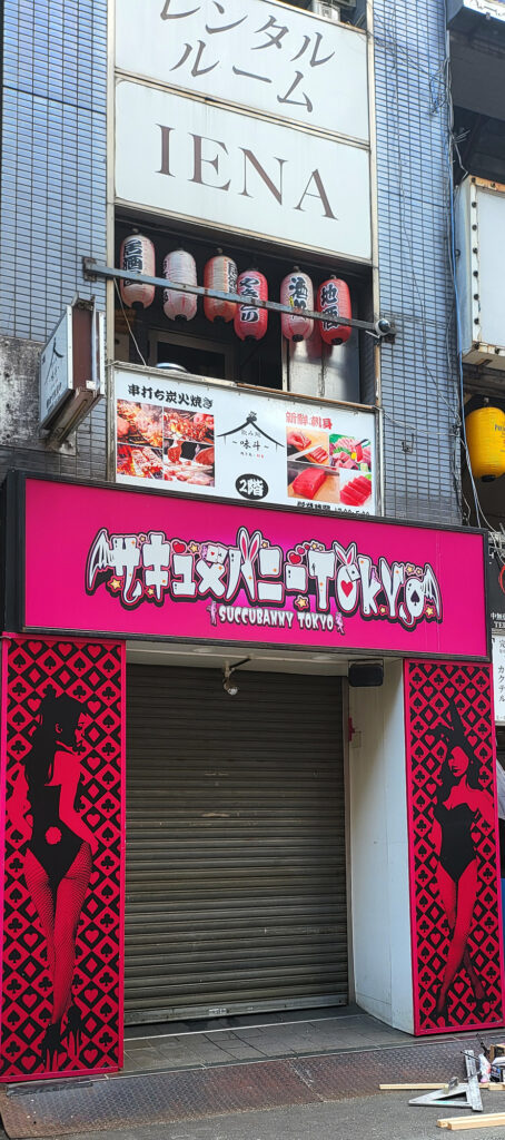 5_Tokyo Shinjuku - Kabukicho