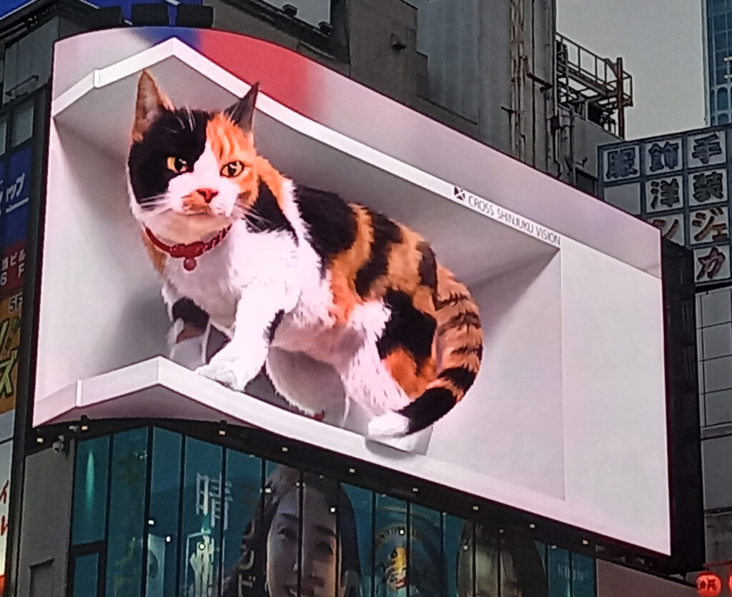 6_Tokyo Shinjuku - gatto 3d Giant 3D Cat