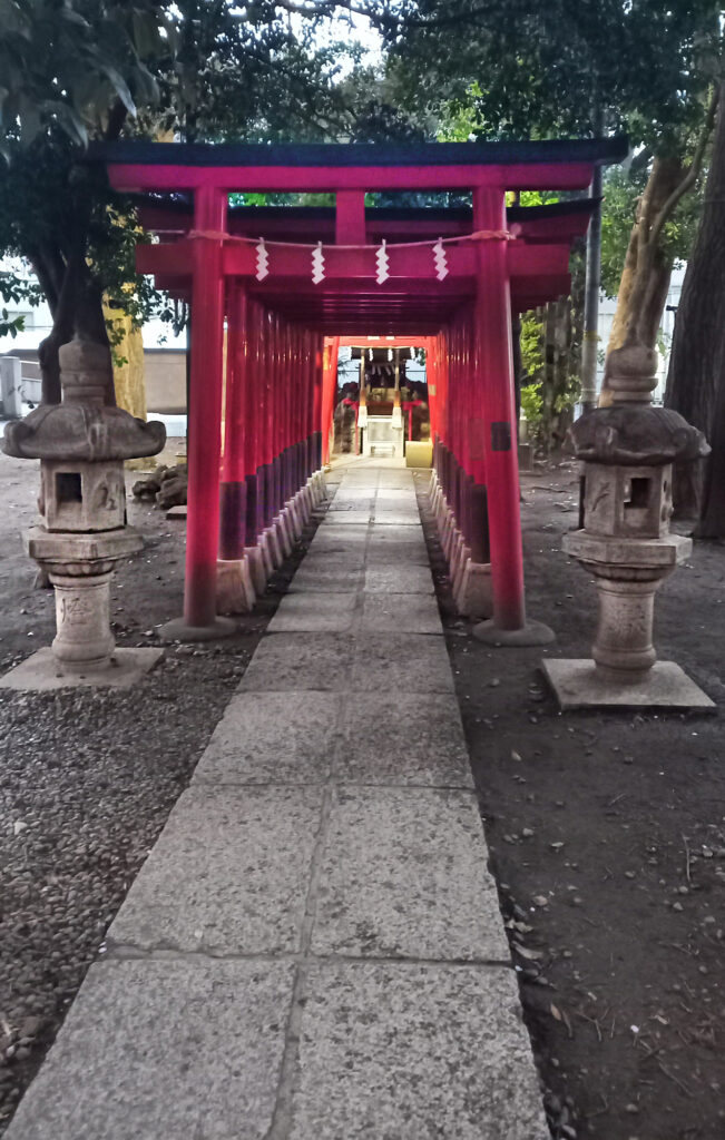5_Tokyo Shinyuku Hanazono Shrine
