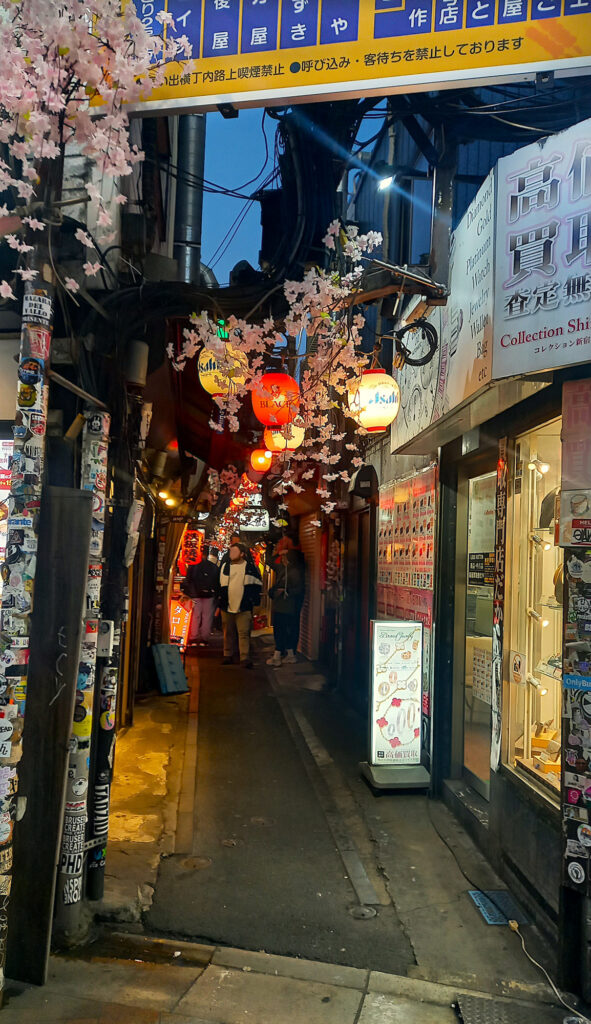 Shinjuku - Omoide Yokocho