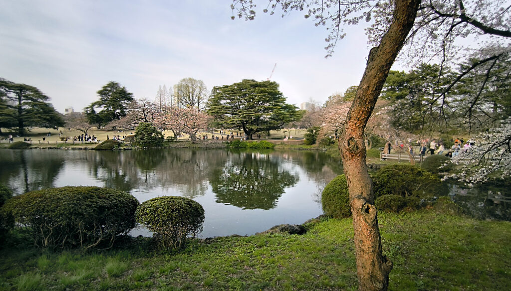6_Tokyo Shinjuku Gyoen parco