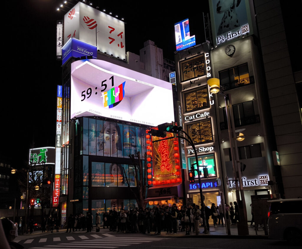 6_Tokyo Shinjuku - gatto 3d