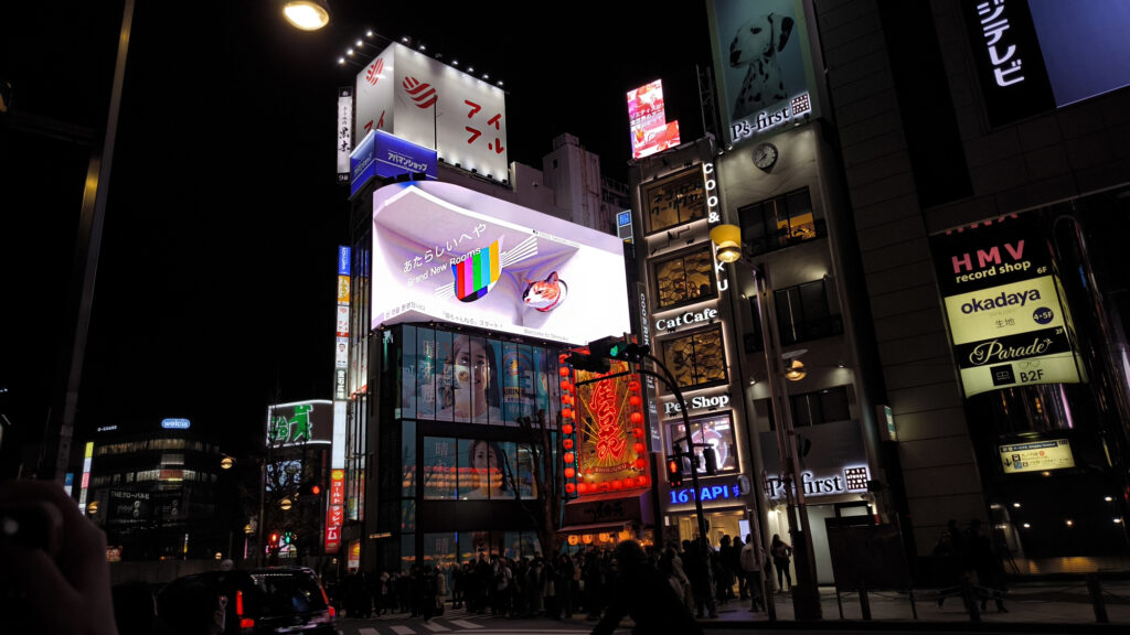 6_Tokyo Shinjuku - gatto 3d