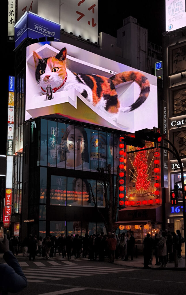 6_Tokyo Shinjuku - gatto 3d Giant 3D Cat