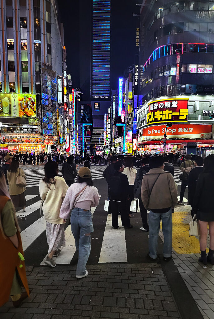 6_Tokyo Shinjuku - godzilla road