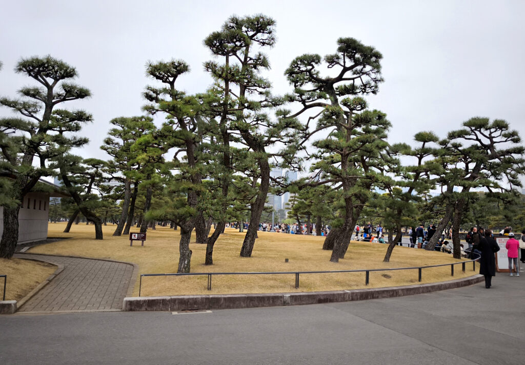 7_Tokyo Chiyoda Palazzo imperiale