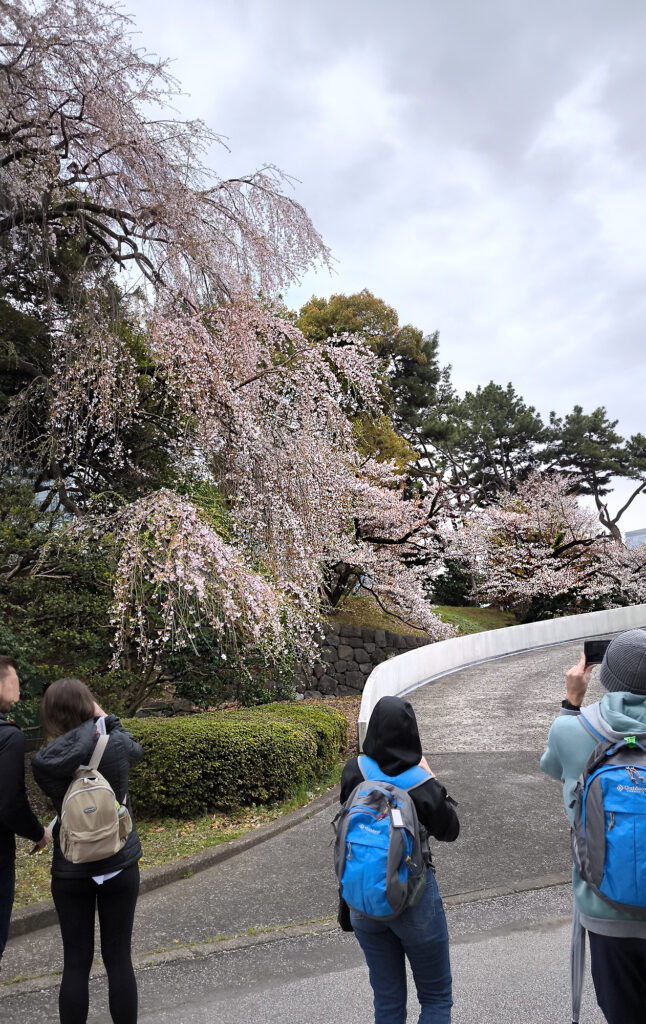 7_Tokyo Chiyoda Palazzo imperiale