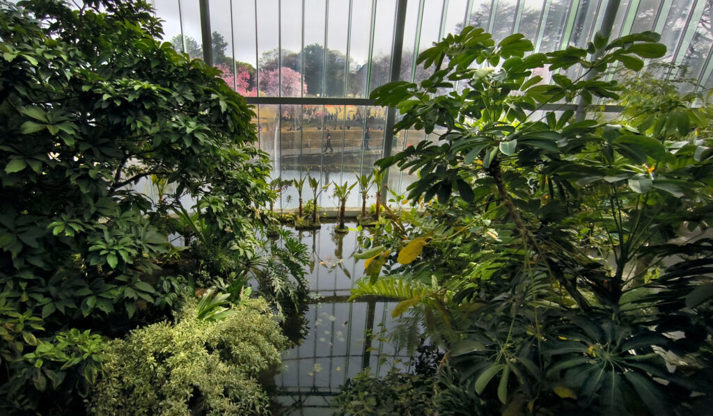 Shinjuku Gyoen National Garden - serra