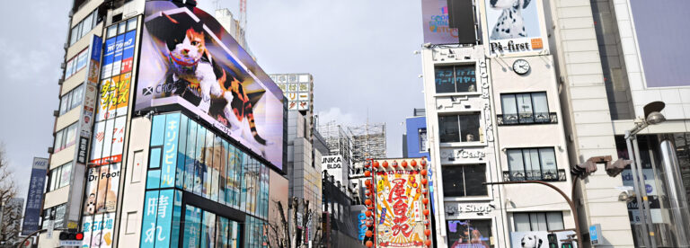 Read more about the article Gatto 3D, Godzilla e Kabukicho