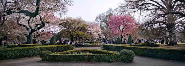 Read more about the article Shinjuku Gyoen National Garden