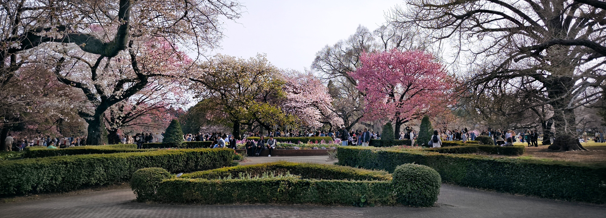 Read more about the article Shinjuku Gyoen National Garden