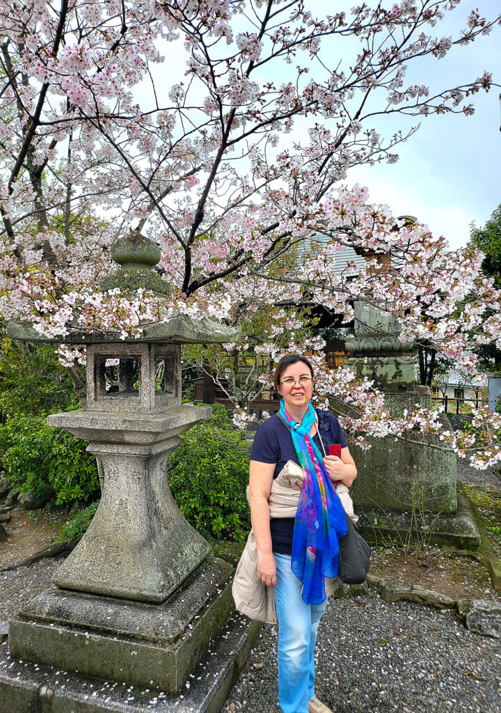 Kyoto - Kiyomizu-dera - lanterna con ciliegio