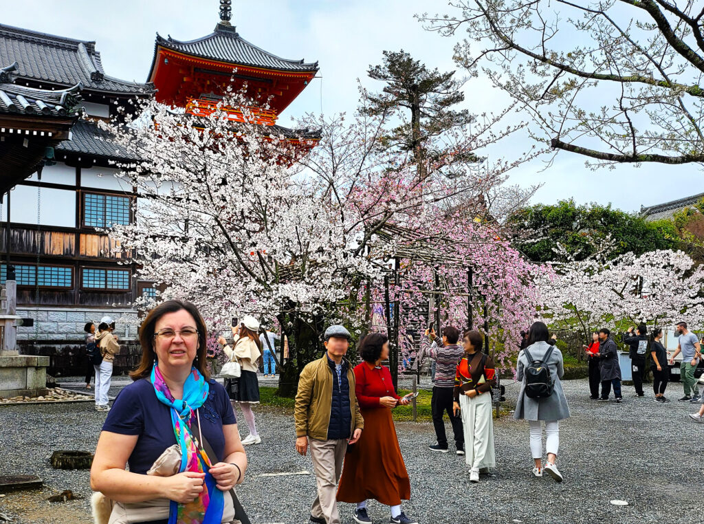 Kyoto - Kiyomizu-dera - Pagoda con ciliegi
