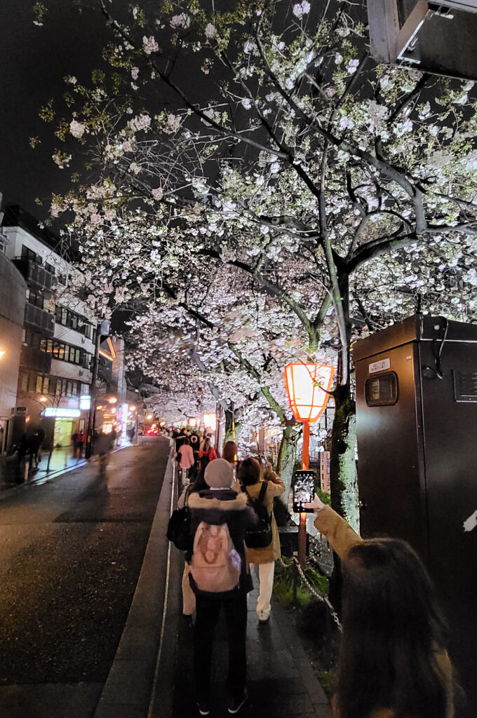 Kyoto - Kiyamachi-dori