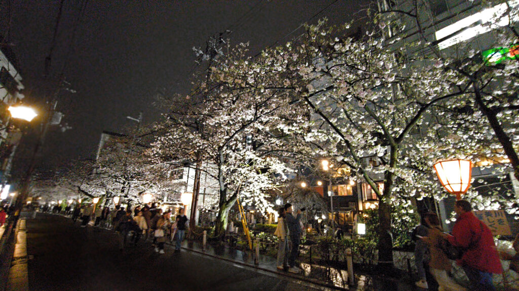 Kyoto - Kiyamachi-dori